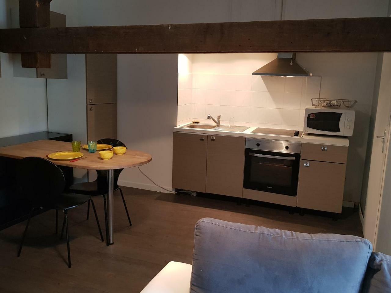 Les Studios De La Rose Des Vents Sathonay-Camp Buitenkant foto